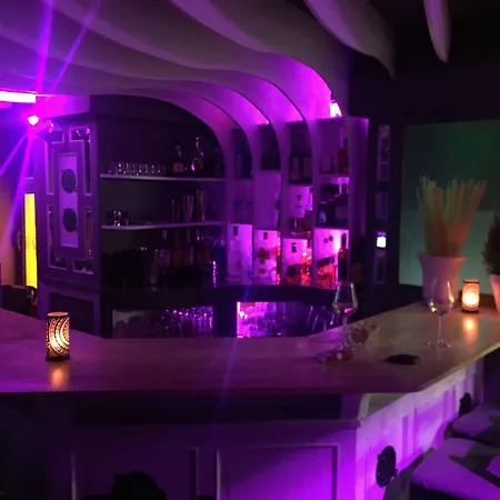 格兰德贝尔维尤 - 大广场酒店 酒店 里尔